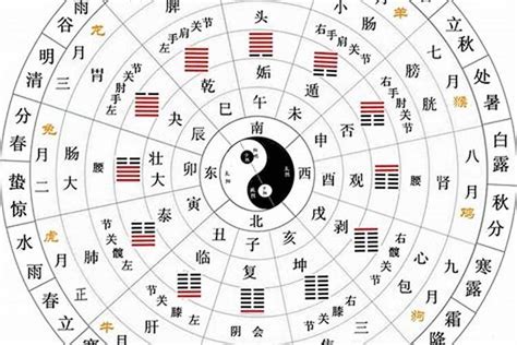 丁火|十天干與十二地支喜忌——丁火篇